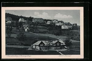 Ansichtskarte Brückenberg i. Riesengeb., Oberer Ortsteil, Teilansicht