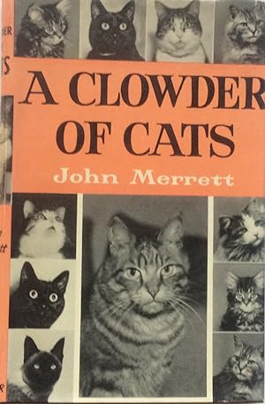 Bild des Verkufers fr A Clowder of Cats zum Verkauf von Jay's Basement Books