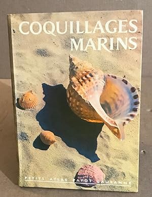 Coquillages marins