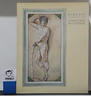 Seller image for Dibujos de los siglos XIV al XX. Coleccin Woodner. Catlogo for sale by MONKEY LIBROS
