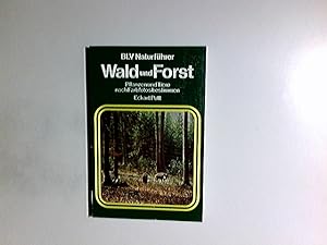 Wald und Forst : Pflanzen u. Tiere nach Farbfotos bestimmen. BLV-Naturführer ; 121