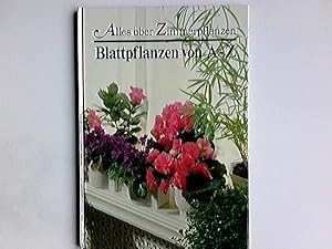 Seller image for Alles ber Zimmerpflanzen Blattpflanzen von A-Z for sale by Antiquariat Buchhandel Daniel Viertel