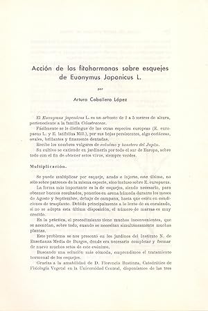 Imagen del vendedor de ACCION DE LAS FITOHORMONAS SOBRE ESQUEJES DE EUONYMUS JAPONICUS L. (EXTRAIDO ORIGINAL DEL AO 1946, TEXTO INTEGRO) a la venta por Libreria 7 Soles