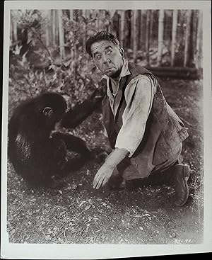 Image du vendeur pour Tarzan Escapes 8 x 10 Still 1936 Johnny Weissmuller, Maureen OSullivan mis en vente par AcornBooksNH