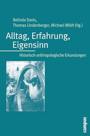 Seller image for Alltag, Erfahrung, Eigensinn : Historisch-anthropologische Erkundungen for sale by AHA-BUCH GmbH