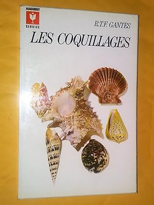 Les coquillages