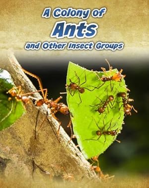 Bild des Verkufers fr A Colony of Ants: and Other Insect Groups (Animals in Groups) zum Verkauf von WeBuyBooks
