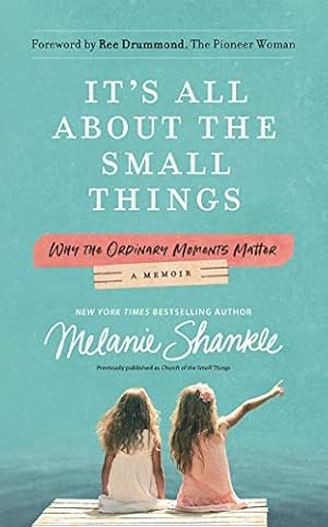 Bild des Verkufers fr It's All About the Small Things: Why the Ordinary Moments Matter zum Verkauf von WeBuyBooks