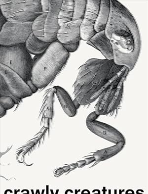 Immagine del venditore per Crawly Creatures : Depiction and Appreciation of Insects and Other Critters in Art and Science venduto da GreatBookPrices