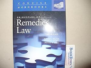Principles of Remedies Law (Concise Hornbook Series)