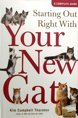 Starting Out Right With Your New Cat: A Complete Guide