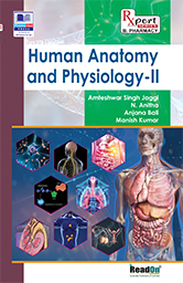 Image du vendeur pour Human Anatomy and Physiology - II mis en vente par Vedams eBooks (P) Ltd