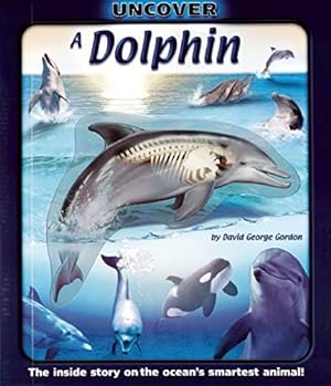 Bild des Verkufers fr Uncover a Dolphin: The Inside Story on the Ocean's Smartest Animal! zum Verkauf von WeBuyBooks