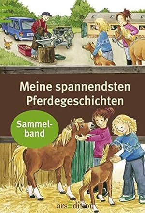 Imagen del vendedor de Meine spannendsten Pferdegeschichten: Sammelband a la venta por Antiquariat Buchhandel Daniel Viertel