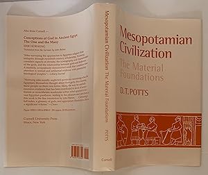 Mesopotamian Civilization: The Material Foundations