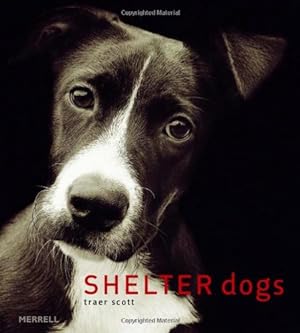 Imagen del vendedor de Shelter Dogs a la venta por Reliant Bookstore