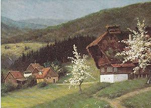 Bild des Verkufers fr POSTAL 19097:FRITZ SCHNEIDER: FRUHLINGSIDYLLE IM SCHWARZWALD zum Verkauf von EL BOLETIN