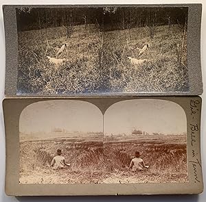 Large Archive of Stereoviews of Hunting Dogs, Circa 1895 Moscow, Tennessee (380 Images) W.S. Bell