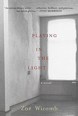 Seller image for Playing in the Light: A Novel for sale by BargainBookStores