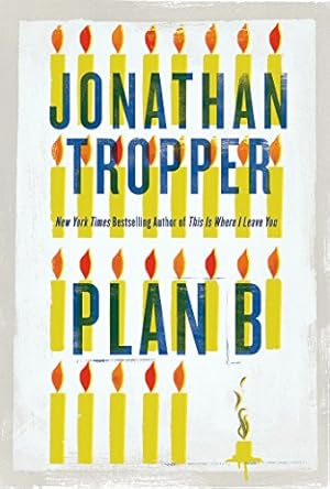 Seller image for Plan B: A novel for sale by Antiquariat Buchhandel Daniel Viertel