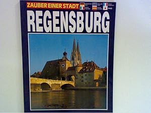 Immagine del venditore per Regensburg. Zauber einer Stadt. venduto da ANTIQUARIAT FRDEBUCH Inh.Michael Simon