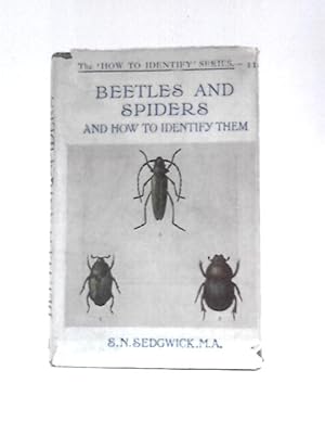 Image du vendeur pour Common British Beetles and Spiders and How to Identify Them mis en vente par World of Rare Books