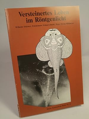 Bild des Verkufers fr Versteinertes Leben im Rntgenlicht zum Verkauf von ANTIQUARIAT Franke BRUDDENBOOKS