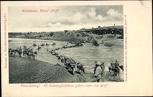Ansichtskarte / Postkarte Paardeberg Südafrika, 32 Ochsengespanne gehen über die Drift, Koodooes ...