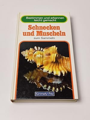 Bild des Verkufers fr Schnecken und Muscheln zum Sammeln zum Verkauf von BcherBirne