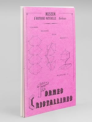 Muséum d'Histoire Naturelle. Bordeaux. Colorier, découper, plier, monter et reconnaître les Forme...