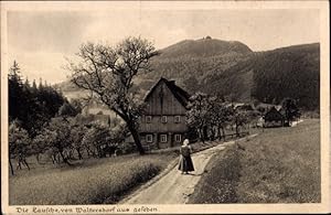 Bild des Verkufers fr Ansichtskarte / Postkarte Waltersdorf Groschnau Oberlausitz, Blick auf die Lausche zum Verkauf von akpool GmbH