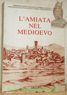 Bild des Verkufers fr L'Amiata nel Medioevo. zum Verkauf von Bouquinerie du Varis