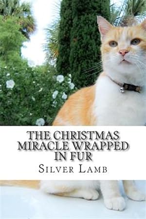 Bild des Verkufers fr Christmas Miracle Wrapped in Fur : Mr. Scruffy Pants Has an Adventure zum Verkauf von GreatBookPrices