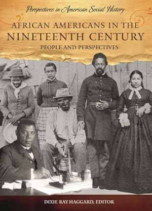 Immagine del venditore per African Americans in the Nineteenth Century : People and Perspectives venduto da GreatBookPrices