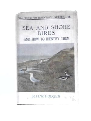 Bild des Verkufers fr Sea and Shore Birds (and How to Identify Them) the 'How to Identify' Series zum Verkauf von World of Rare Books