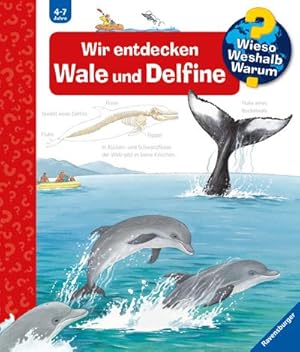 Bild des Verkufers fr Wieso? Weshalb? Warum?, Band 41: Wir entdecken Wale und Delfine zum Verkauf von Smartbuy