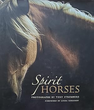 Seller image for Spirit Horses for sale by Mom's Resale and Books
