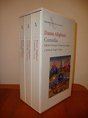 Divina Comedia-Inferno (Spanish Edition) - Allighieri, Dante: 9786074157949  - AbeBooks