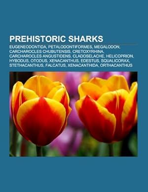 Imagen del vendedor de Prehistoric sharks : Eugeneodontida, Petalodontiformes, Megalodon, Carcharocles chubutensis, Cretoxyrhina, Carcharocles angustidens, Cladoselache, Helicoprion, Hybodus, Otodus, Xenacanthus, Edestus, Squalicorax, Stethacanthus, Falcatus, Xenacanthida a la venta por Smartbuy