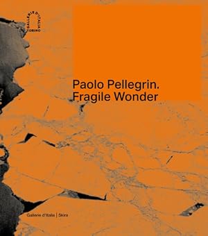 Seller image for Paolo Pellegrin for sale by GreatBookPrices