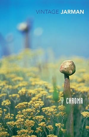 Imagen del vendedor de Chroma : A Book of Colour - June '93 a la venta por Smartbuy
