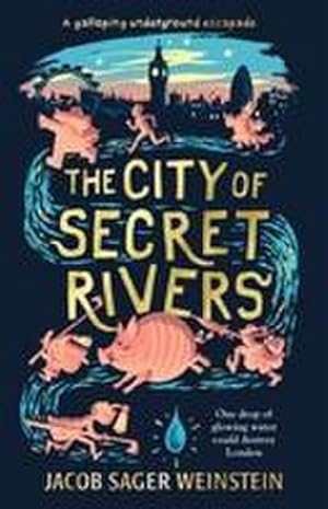 Bild des Verkufers fr The City of Secret Rivers zum Verkauf von Smartbuy