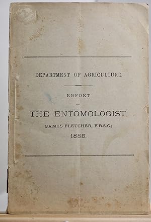 Report of the entomologist 1885