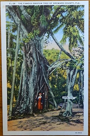 The Famous Banyan Tree of Broward County, FL