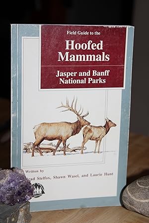 Field Guide to the Hoofed Mammals
