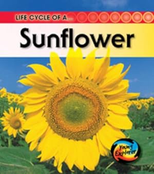 Seller image for Life Cycle of a Sunflower (Life Cycles) for sale by WeBuyBooks