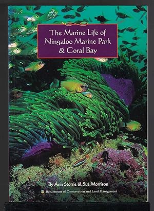 Seller image for THE MARINE LIFE OF NINGALOO MARINE PARK & CORAL BAY. for sale by M. & A. Simper Bookbinders & Booksellers