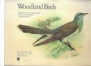 Bild des Verkufers fr Woodland Birds zum Verkauf von Gwyn Tudur Davies