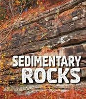 Bild des Verkufers fr Sedimentary Rocks zum Verkauf von Smartbuy
