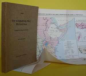 Geheim, Der wirtschaftliche Wert Mittelafrikas, Denkschrift des Reichs-Kolonialamts, 294 Seiten 1...